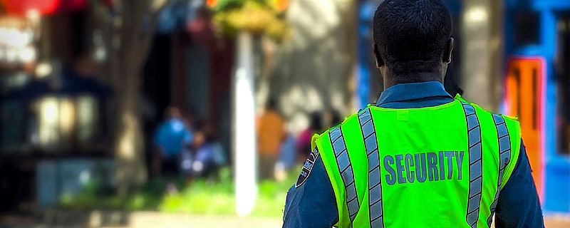 Частная охранная деятельность в школах США